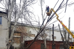 кронирование деревьев, арбористы одесса, обрезка деревьев, спил деревьев одесса